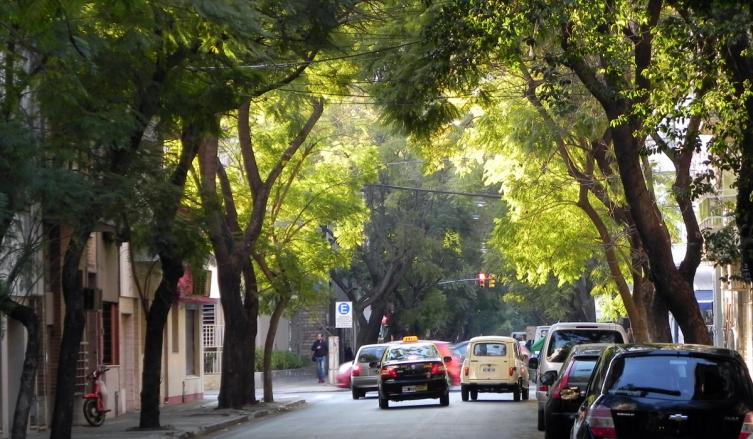 El ministro Speranza destacó “la  construcción colectiva del proyecto de Ley del Árbol