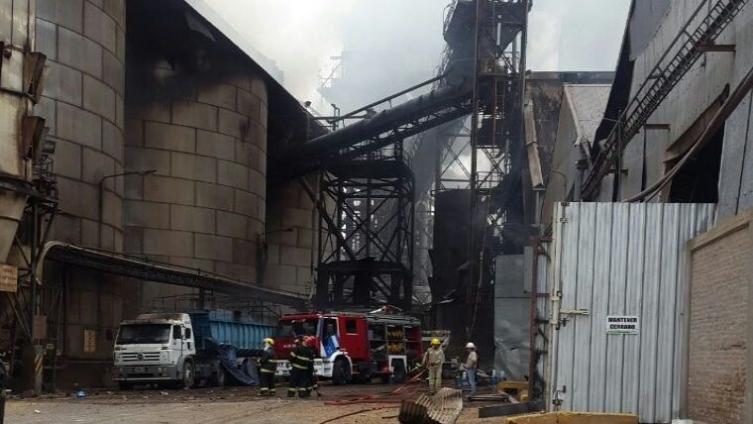 Las imágenes dentro de la empresa Cofco, ex Nidera.(Rosario3.com)