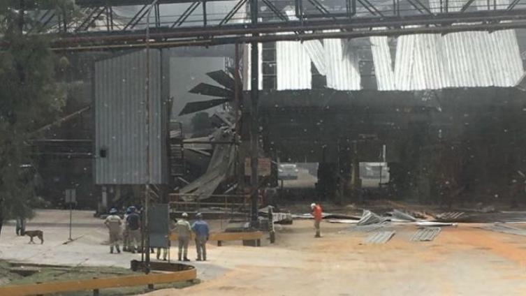Las imágenes dentro de la empresa Cofco, ex Nidera.(Rosario3.com)