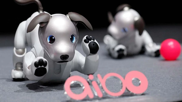 Crean un perro robot capaz de conectar emocionalmente con los humanos