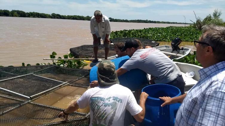 La provincia refuerza acciones del plan de Piscicultura