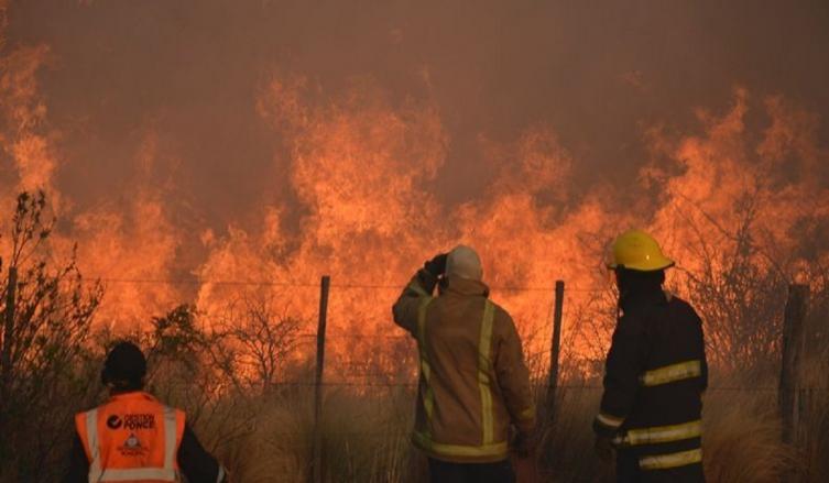 Por los incendios forestales, ya se quemaron 230.000 hectáreas