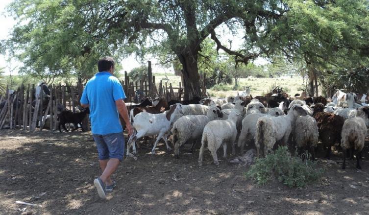 Apuntala a pequeñas unidades productivas del centro-norte santafesino 