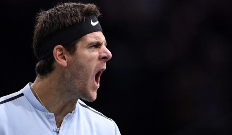 DEL POTRO LOGRÓ UN GRAN TRIUNFO Y VOLVERÁ AL TOP TEN