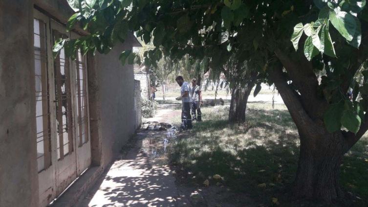 Tres perros electrocutados por un cable suelto