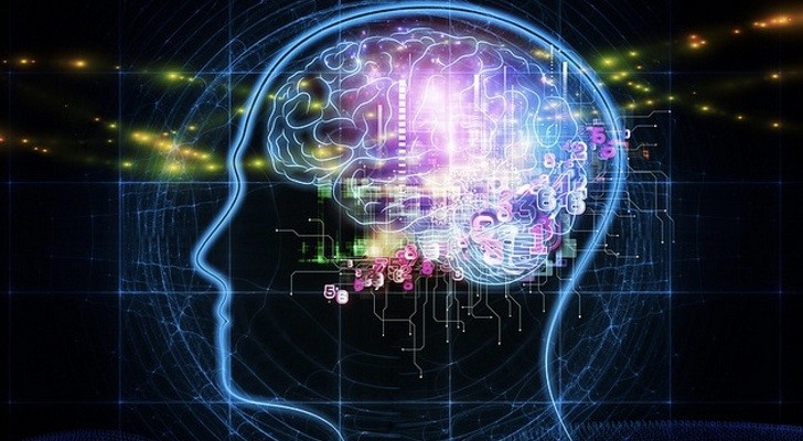 ¿Cuántos tipos de memorias tenemos en el cerebro?