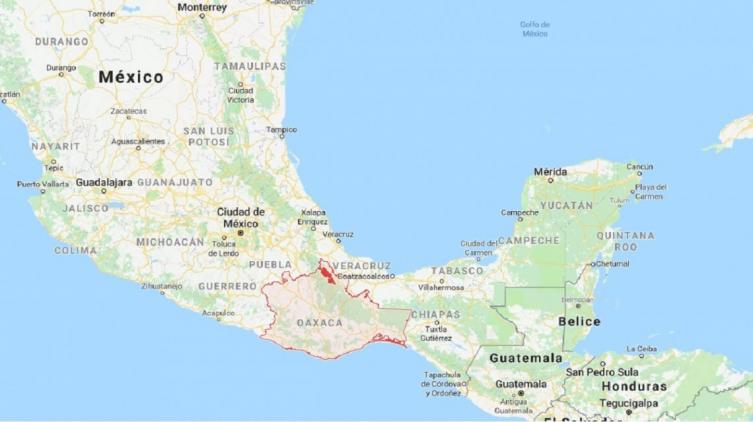 Un terremoto de 7,2 grados en la escala de Richter sacudió a México