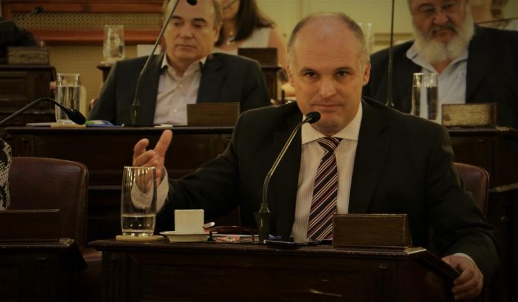 Perros: Henn insiste con regular su tenencia 