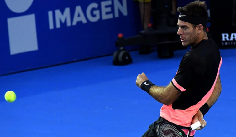 ATP de Acapulco: ganaron Del Potro y Schwartzman