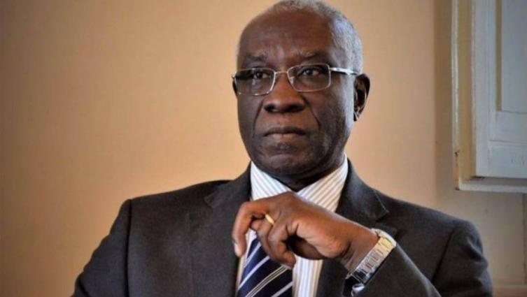 Italia eligió al primer senador negro de la historia