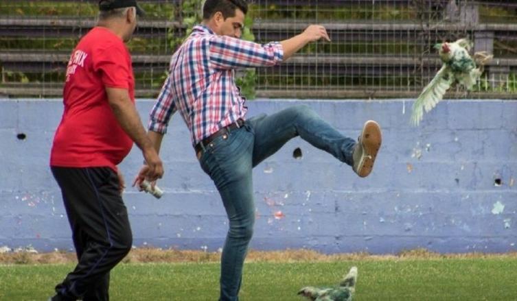 Fútbol uruguayo: tiraron gallinas a la cancha y las sacaron a las patadas