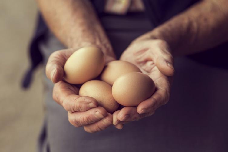 ¿Es peligroso comer huevos todos los días?