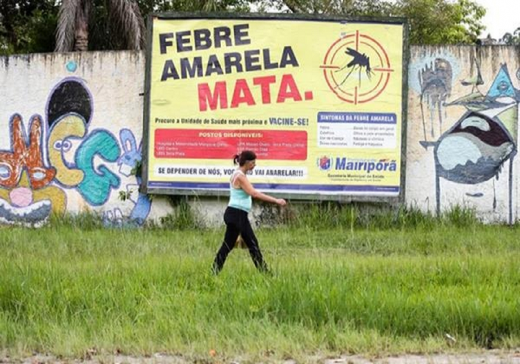 Alerta por fiebre amarilla en Brasil: se registraron en 2018 más casos y muertes que en 2017