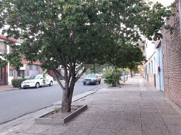 Así  roban a una familia en B° Sur