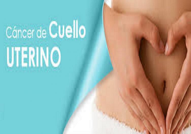 Cáncer de cuello uterino: paradigma de la desigualdad social en salud 