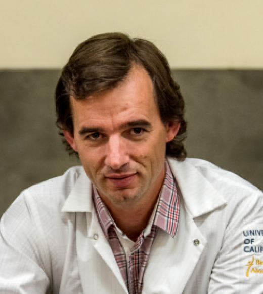 Un científico argentino obtuvo el primer embrión de oveja con células humanas