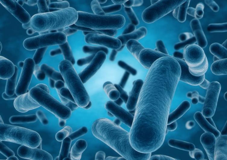 Los 11 objetos con más bacterias que tocas cada día