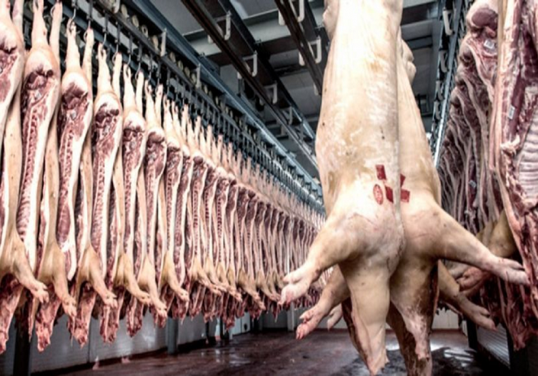 Tras 26 años, Argentina vuelve a importar carne de cerdo desde EE.UU.