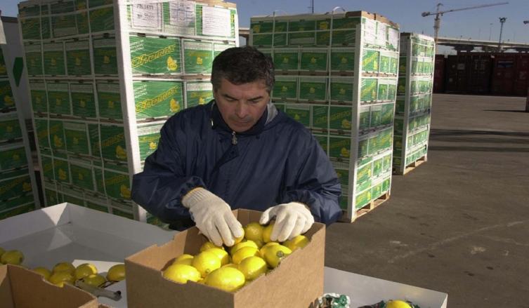 Concretan hoy la primera venta de limones a EE.UU.