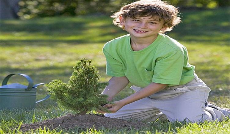 Campaña de Forestación “Un árbol por niño”