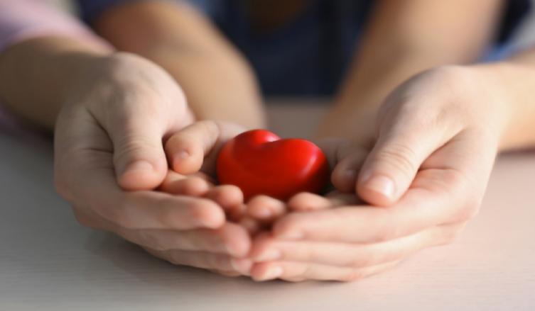 Más de 120 inscriptos para adoptar a tres hermanas 
