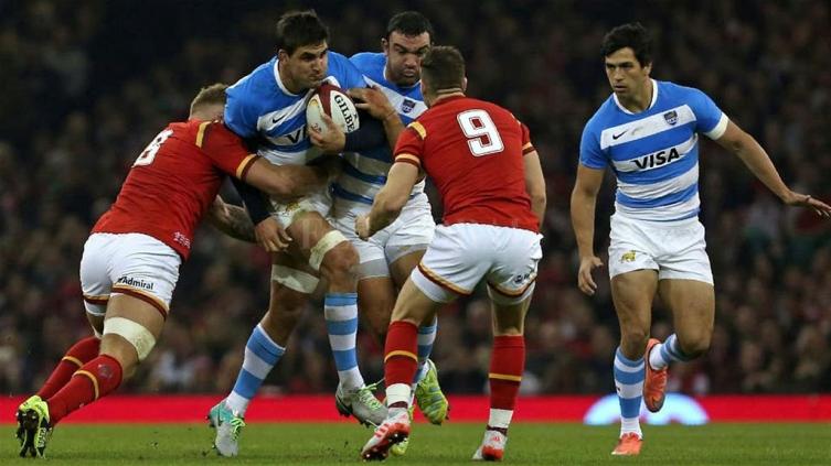 Designaron al plantel de Los Pumas que vendrá a Santa Fe