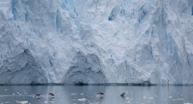 Los científicos hallan un mundo oculto bajo el hielo de la Antártida