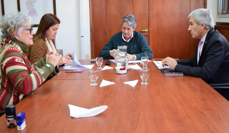 Custodia, monitoreo y mantenimiento de defensas 