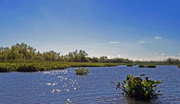 La provincia avanza en el manejo del sitio Ramsar  