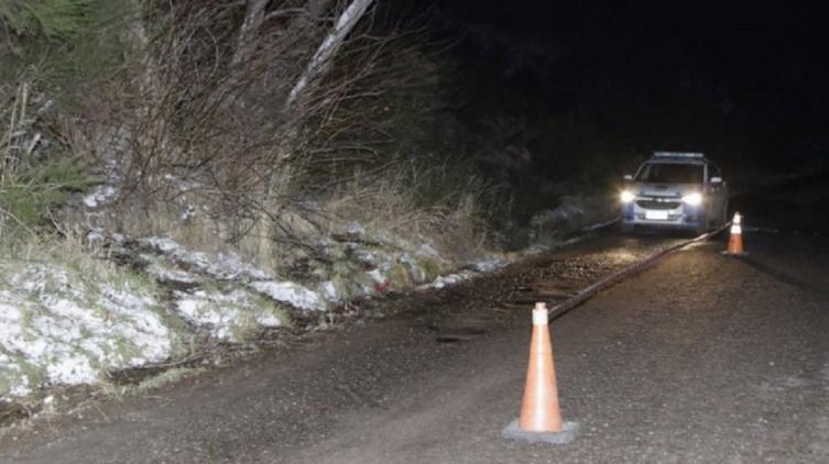 Neuquén: Encontraron a dos adolescentes atadas a un árbol