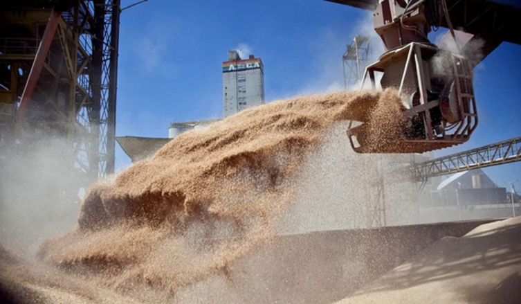 Economía 2019: el Gobierno apuesta al agro para una recuperación