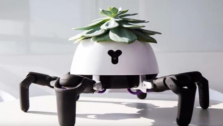 La maceta inteligente que cuida las plantas y avisa cuando necesitan agua