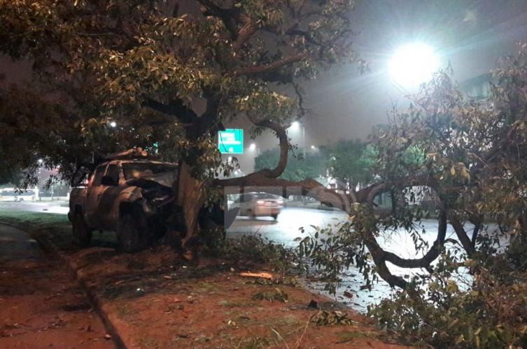 Una camioneta de la EPE se estrelló contra un árbol
