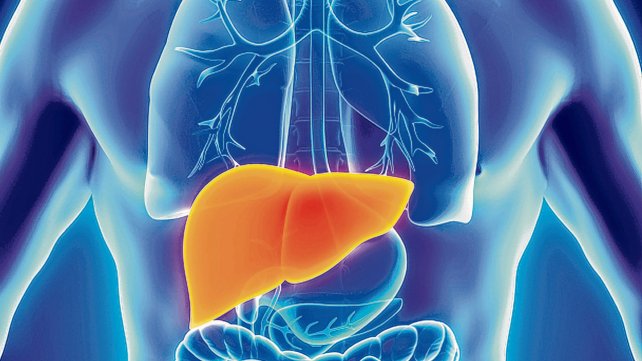 ¿Cuántas hepatitis virales existen?