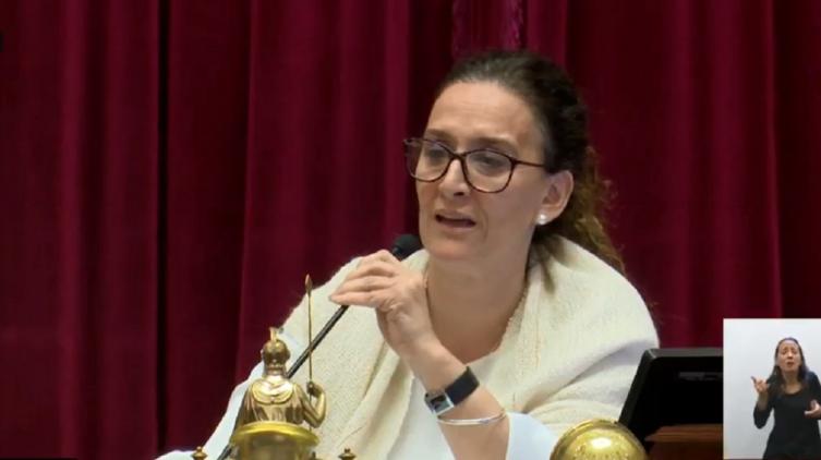 Otro exabrupto de Michetti en plena sesión por el aborto: 
