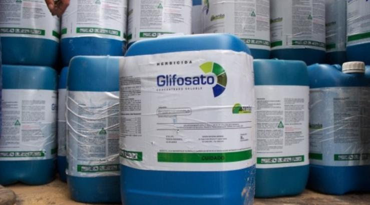El Concejo prohibió la utilización de Glifosato