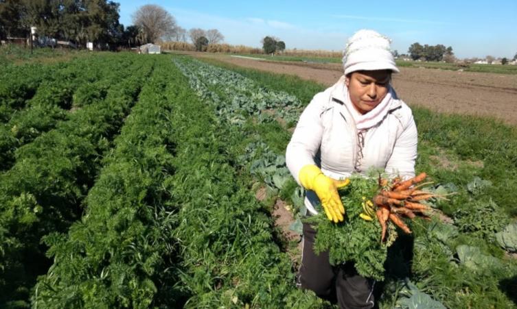 Encuentro Regional de Agroecología 