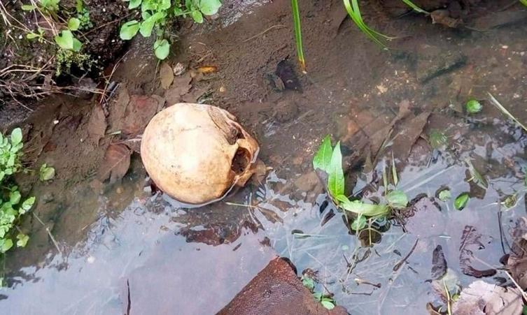 Un cráneo humano fue hallado debajo del puente carretero