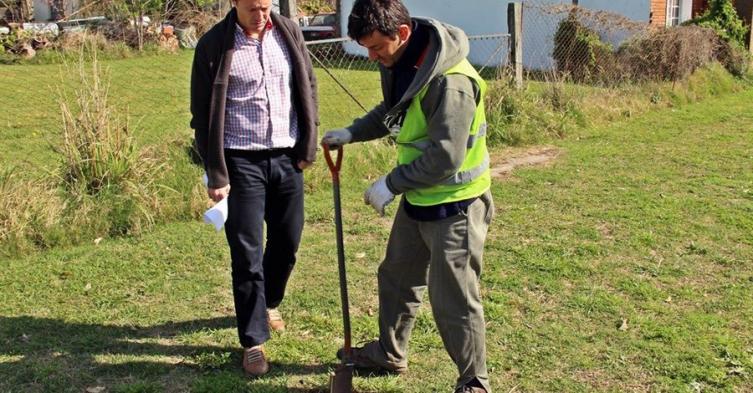 Avanza el Plan de Forestación en la Ciudad