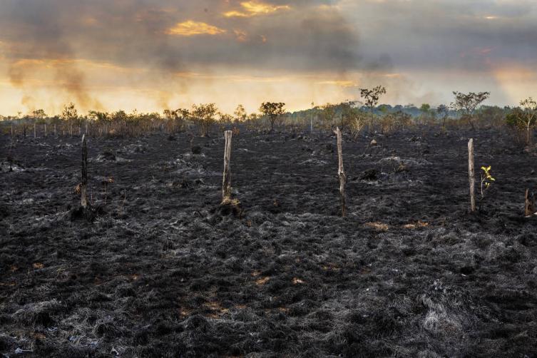 Los candidatos presentan propuestas para el medio ambiente con objetivos poco específicos