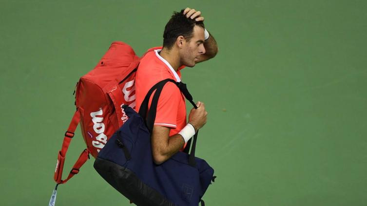 Juan Martín del Potro se fracturó la rótula y se pierde el resto de la temporada
