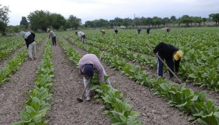 El 90 % de los trabajadores pobres no están sindicalizados