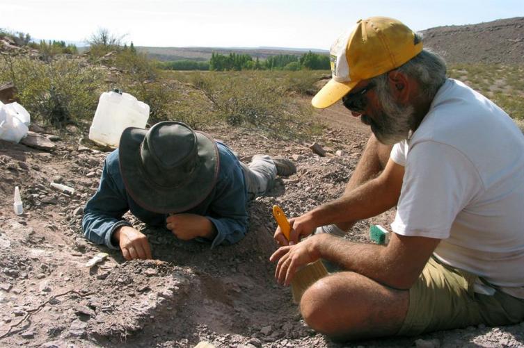 Encuentran en Neuquén una nueva especie de dinosaurio de hace 110 millones de años