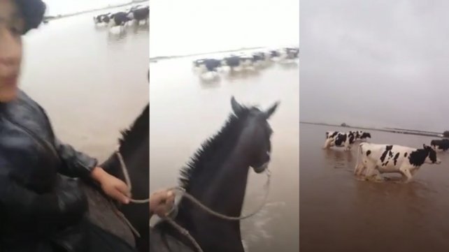 Viralizan un video de un gaucho en medio del temporal