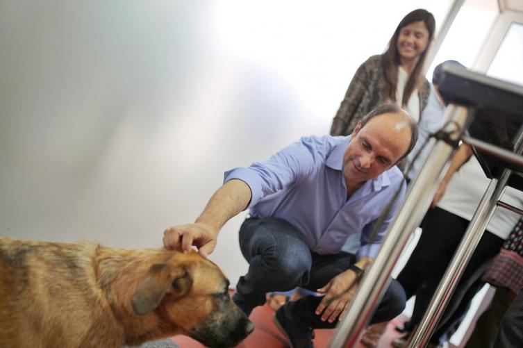 Comenzará a funcionar la Casa de las Mascotas Norte