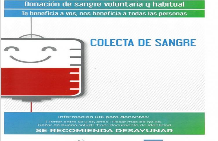 Colecta anual de sangre 