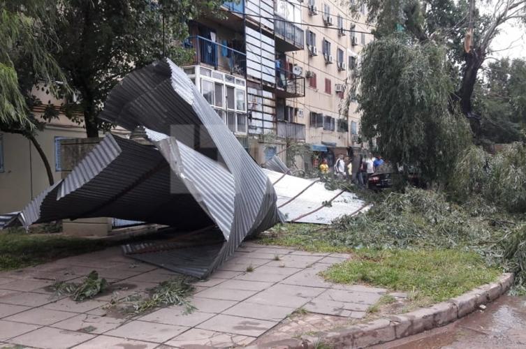 Se voló un techo y hay árboles caídos
