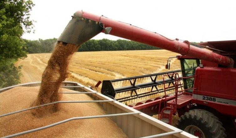 La liquidación de agrodólares cayó un 38 por ciento