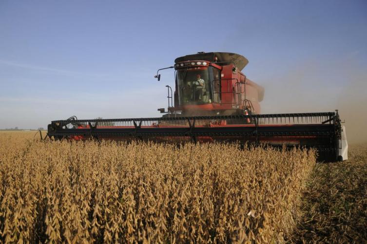 Fuerte disminución en la confianza de los productores