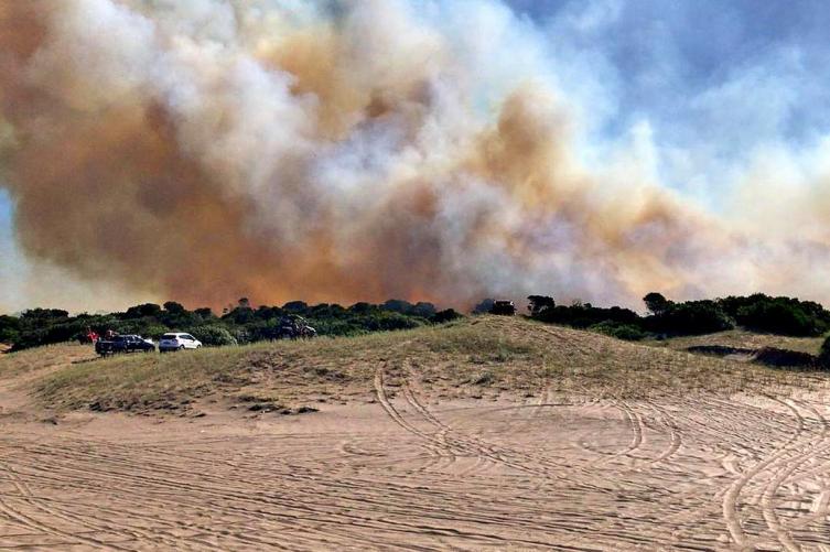 El incendio forestal en Villa Gesell, que afectó a unas 160 hectáreas, estaría controlado